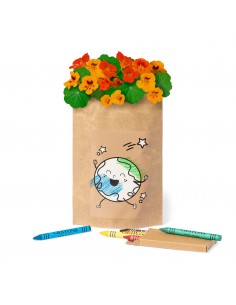 Set maceta para pintar